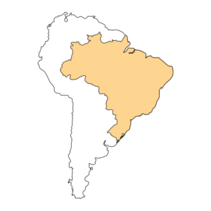 Geografie Jižní Ameriky s vyznačením Brazílie